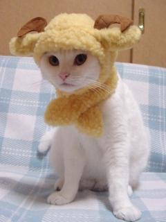 Other Wallpapers 0558